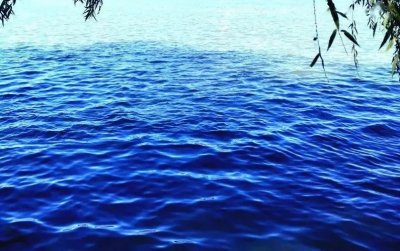 <a href='http://www.dsjianglang.com/smz/' target='_blank' title='失眠癥'><span style='color: #0000ff'><strong>失眠癥</strong></span></a>