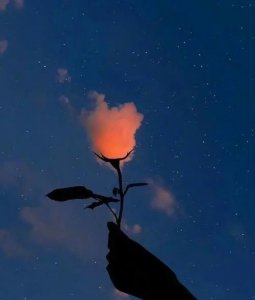 �L��<a href='http://www.dsjianglang.com/smz/' target='_blank' title='ʧ�߰Y'><span style='color: #0000ff'><strong>ʧ�߰Y</strong></span></a>�ί��t(y��)Ժ