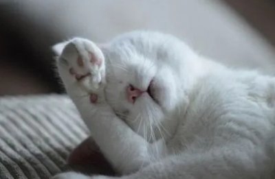 �L��<a href='http://www.dsjianglang.com/smz/' target='_blank' title='ʧ�߰Y'><span style='color: #0000ff'><strong>ʧ�߰Y</strong></span></a>�ί��t(y��)Ժ